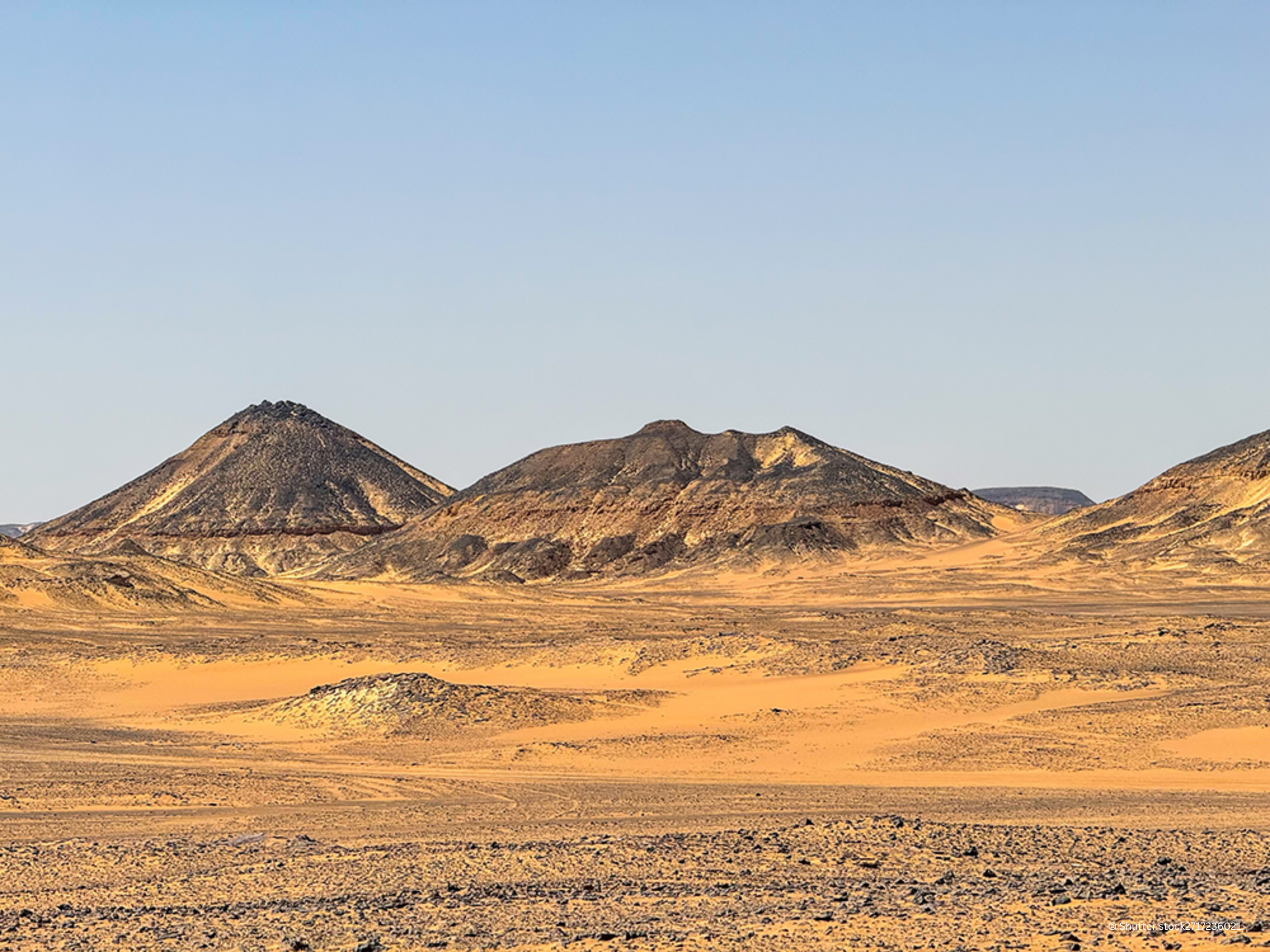 A Once-in-a-Lifetime Desert Experience