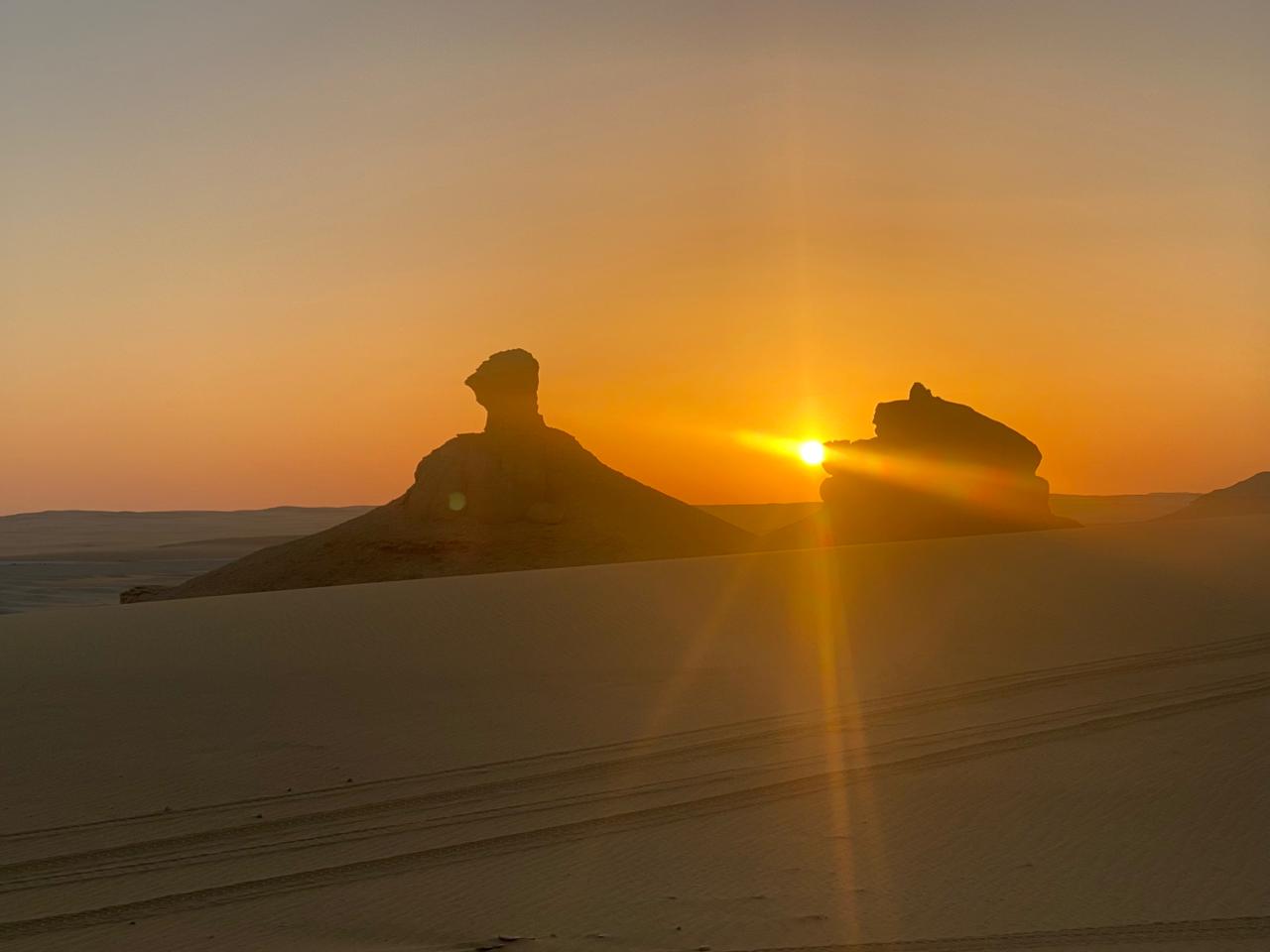 And What About the Desert and the Oases?