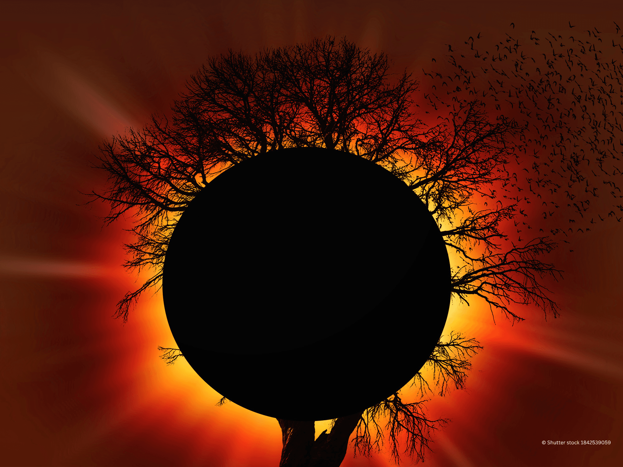 A turning point in science