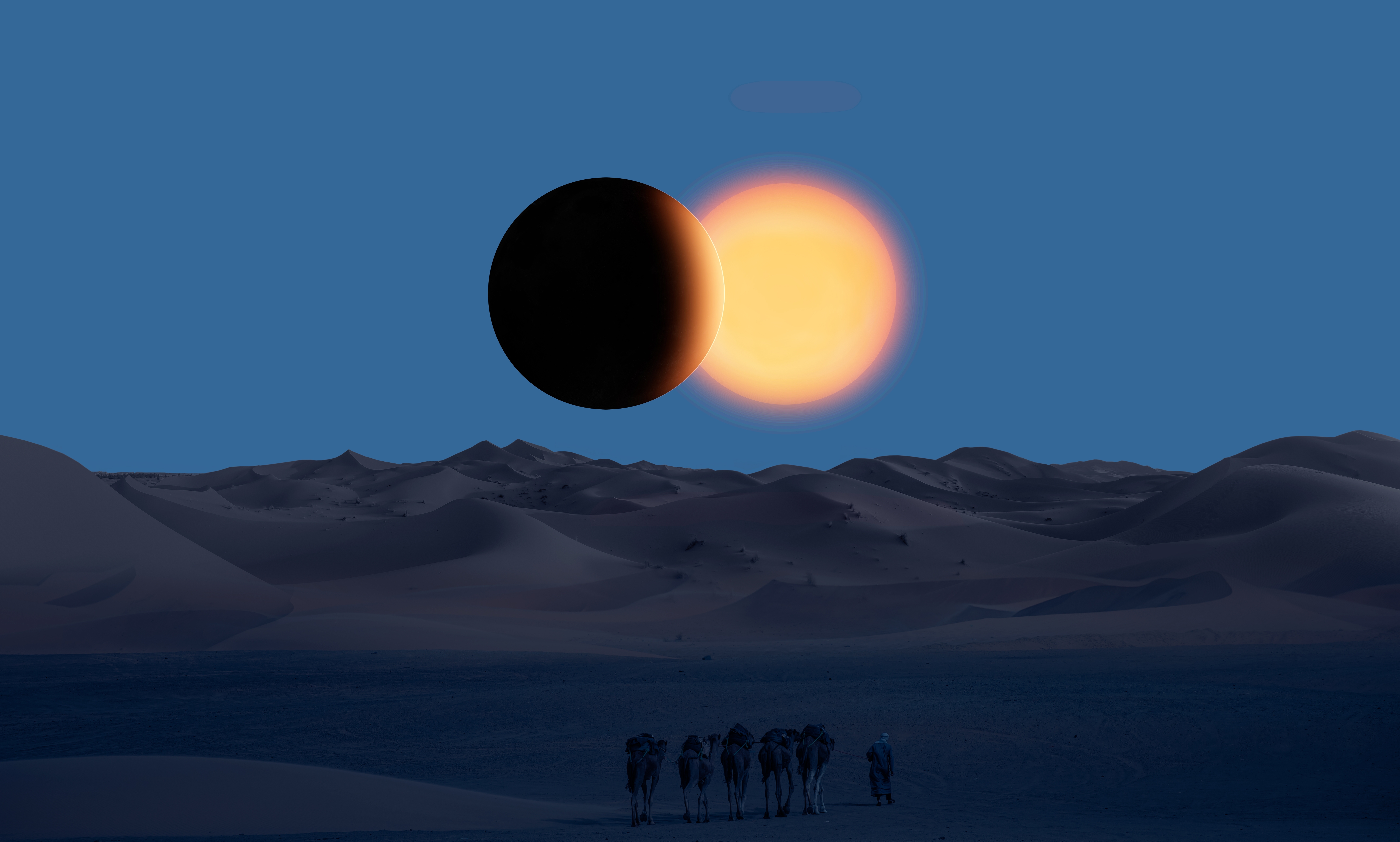 Trip image
