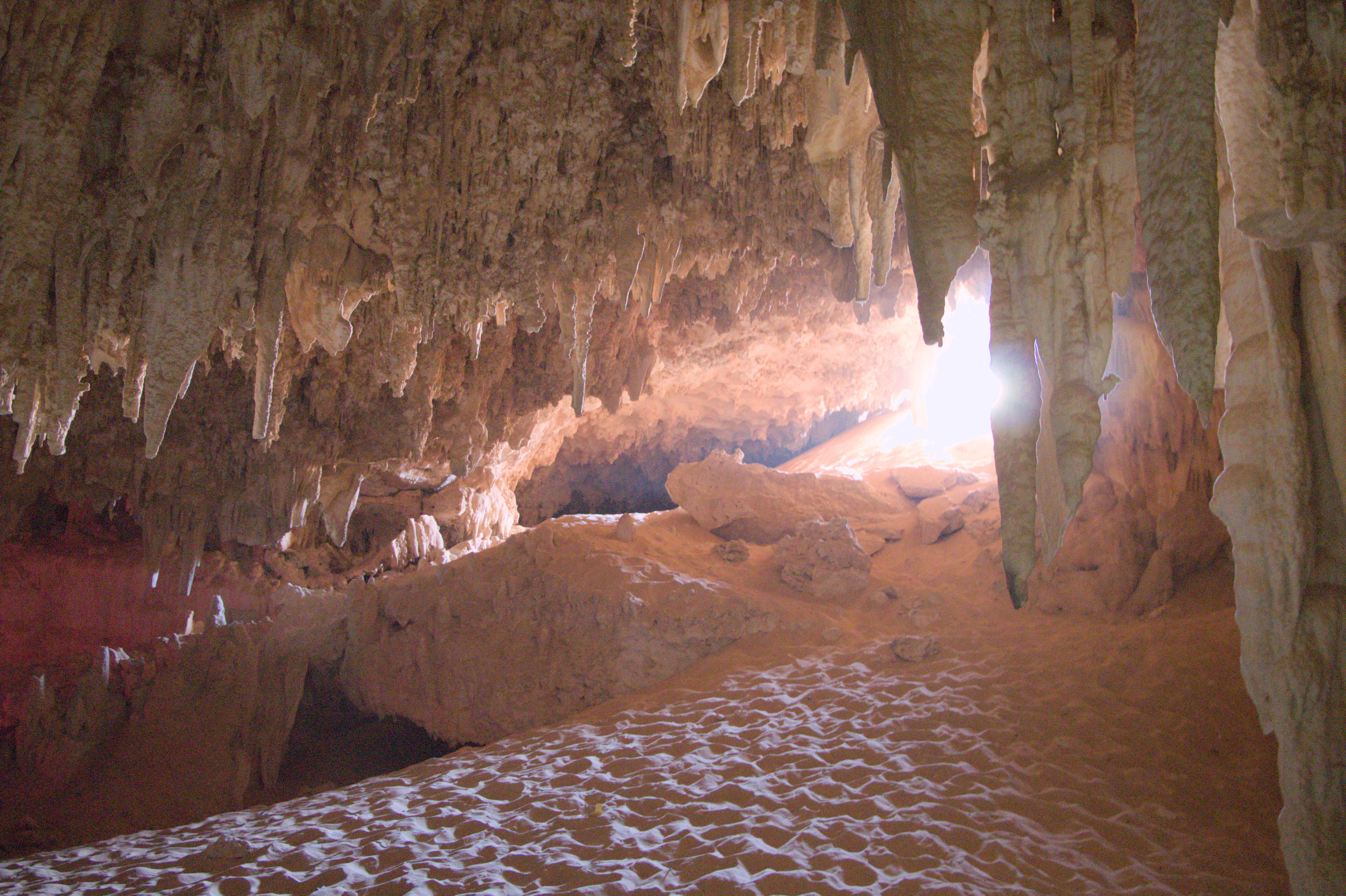 Trip image