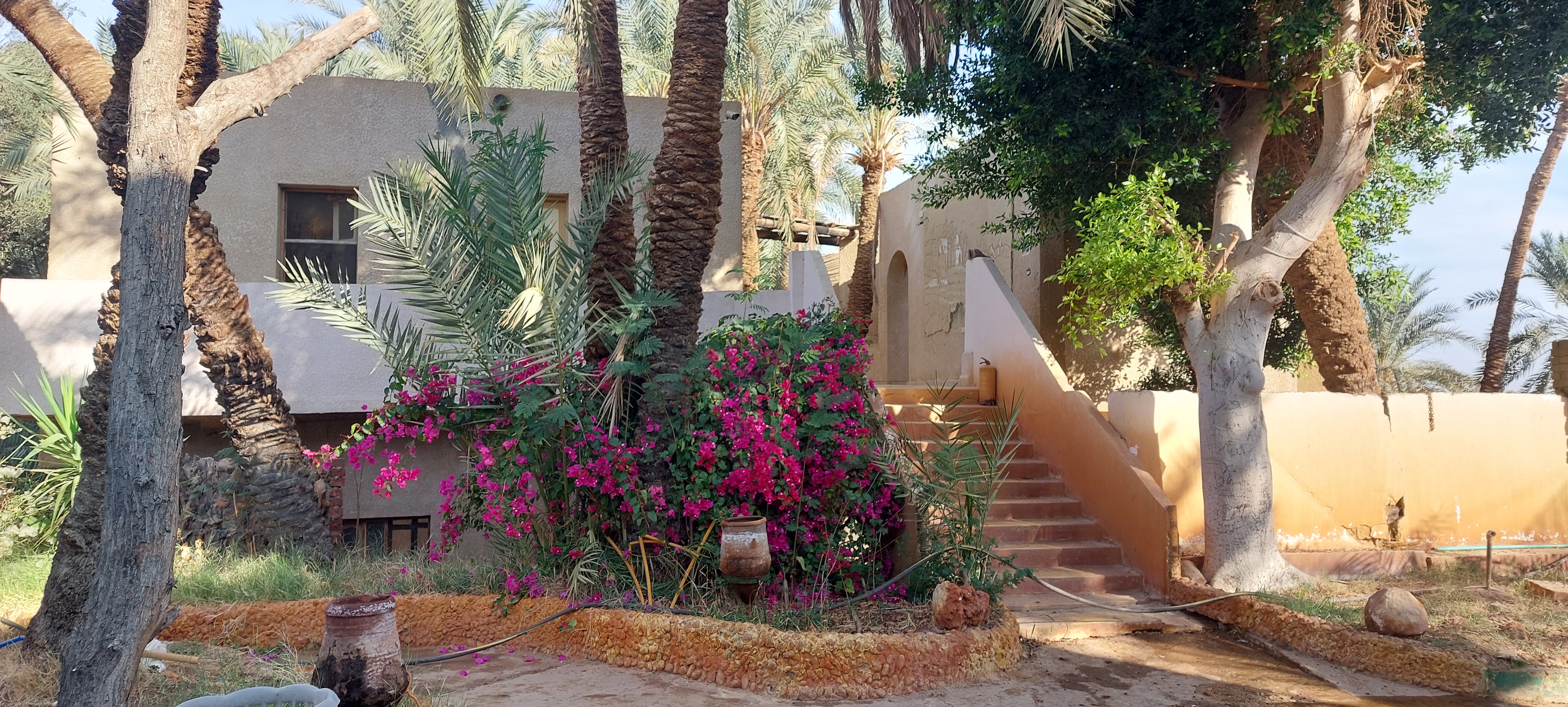 2. Bahariya Oasis and the Black Desert