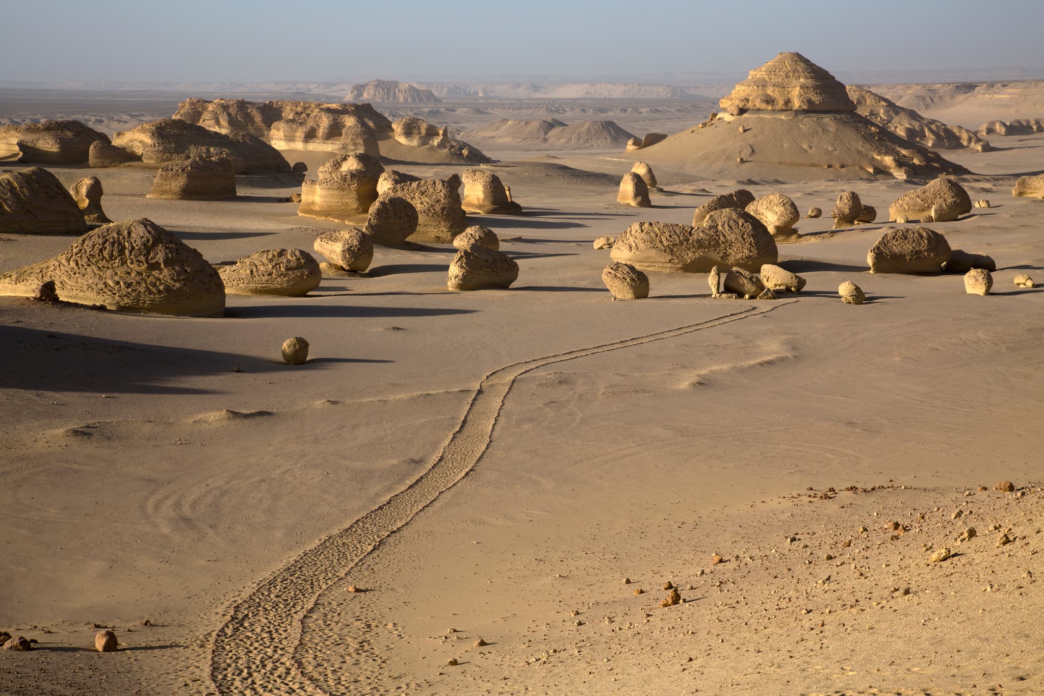 Why we return to the desert